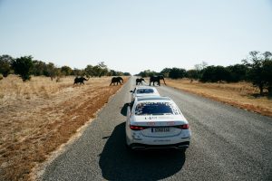 Mercedes S-Klasse Afrika